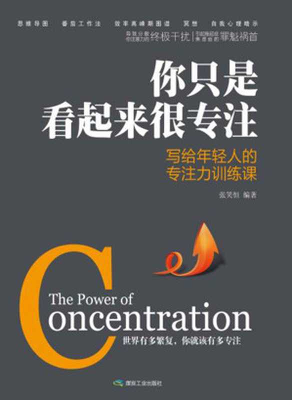 你只是看起来很专注(张笑恒)(煤炭工业出版社 2016)