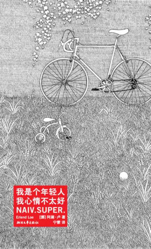 我是个年轻人,我心情不太好(阿澜·卢)(浙江文艺出版社 2012)