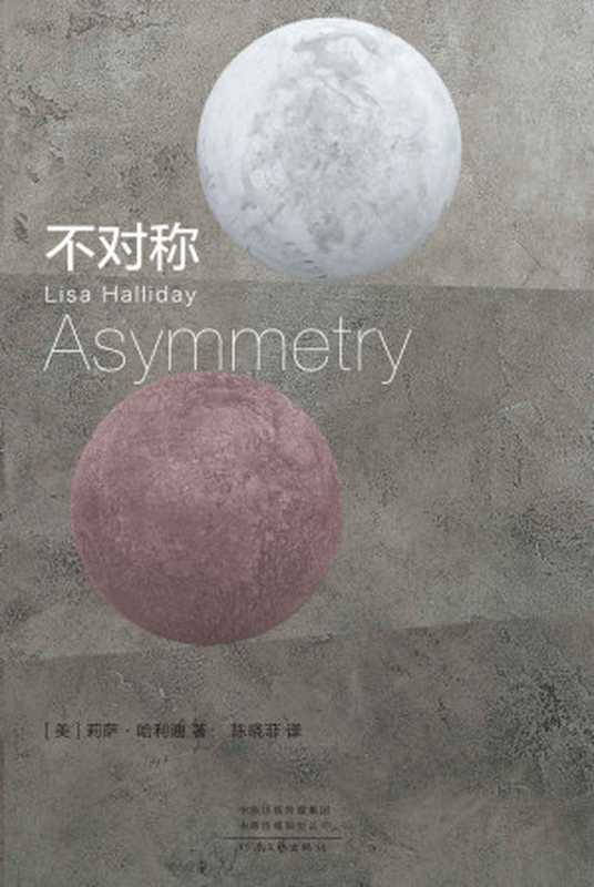 不对称(莉萨·哈利迪)(2021)