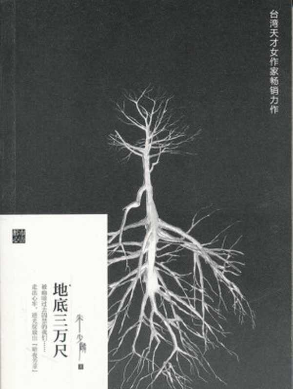 地底三万尺(朱少麟)(2011)