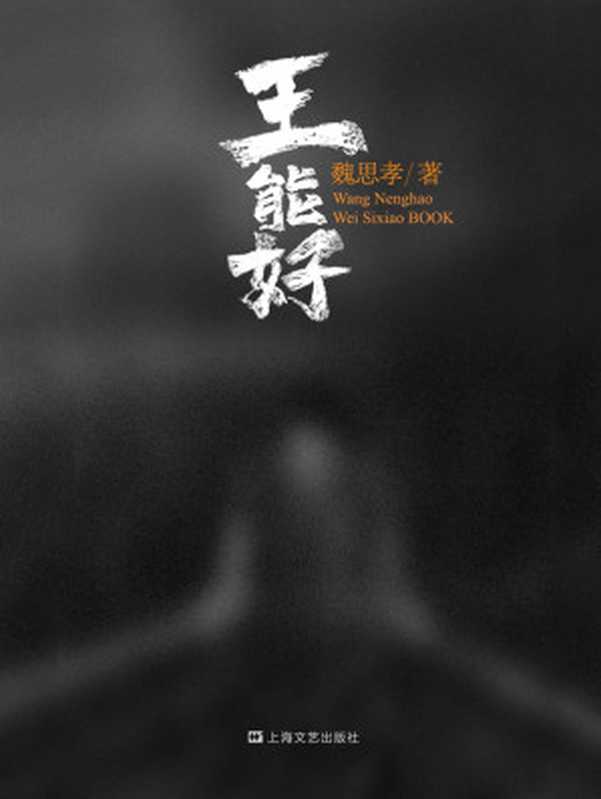 王能好(魏思孝)(上海文艺出版社 2022)