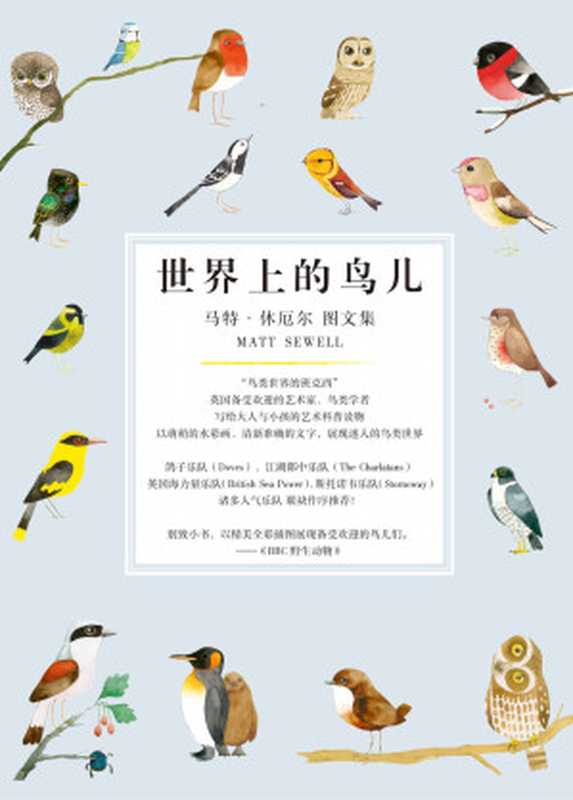 世界上的鸟儿（套装共5册）【“鸟类世界的班克西”马特·休厄尔，写给大人与小孩的艺术科普读物】（马特·休厄尔Matt Sewell）（2018）