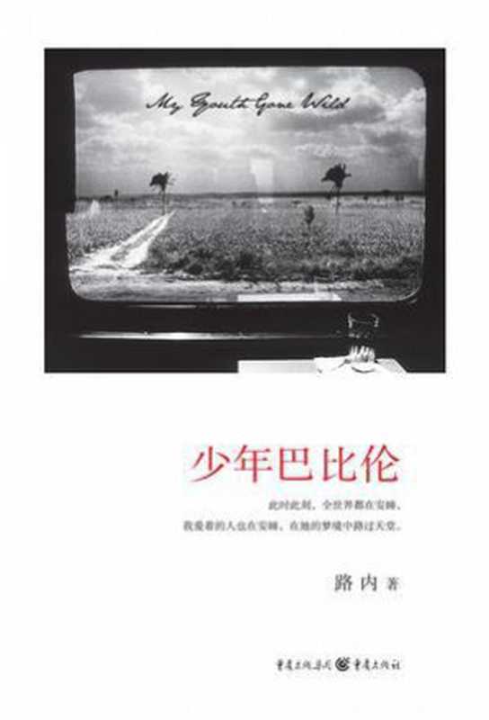 少年巴比伦(路内)(重庆出版社 2008)