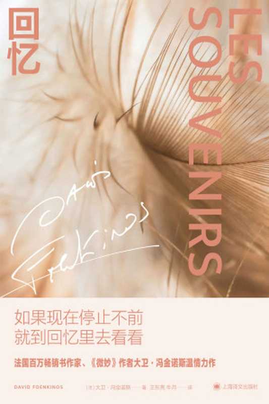 回忆【上海译文出品！《微妙》作者大卫·冯金诺斯温情力作，入围法国龚古尔文学奖和费米娜文学奖！】（大卫·冯金诺斯（David Foenkinos） [Foenkinos）， 大卫·冯金诺斯（David]）（上海译文出版社 2021）