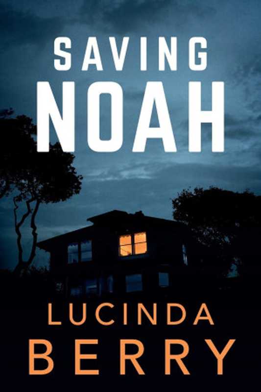 Saving Noah（Lucinda Berry ）（Rise Press 2017）