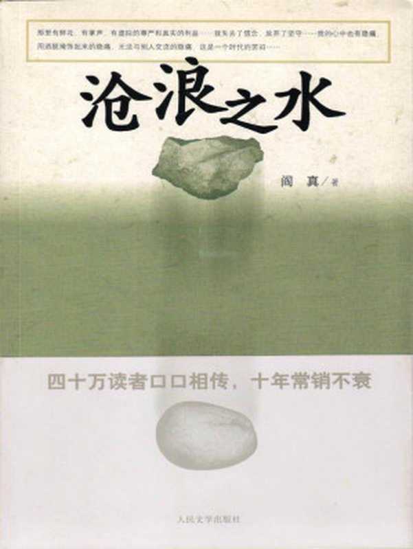 沧浪之水（阎真）（人民文学出版社 2013）