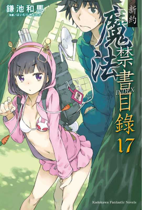 新约 魔法禁书目录 17(镰池和马)(2018)
