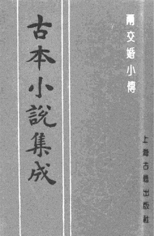 古本小说集成 4040 [清]天花藏主人撰-两交婚小传（本衙藏板）（上海古籍出版社1994）（[清]天花藏主人撰）（2017）