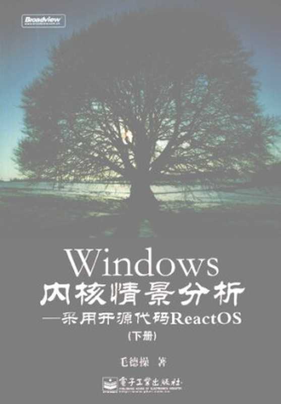 Windows内核情景分析: 采用开源代码ReactOS(下册)(毛德操)(电子工业出版社 2009)