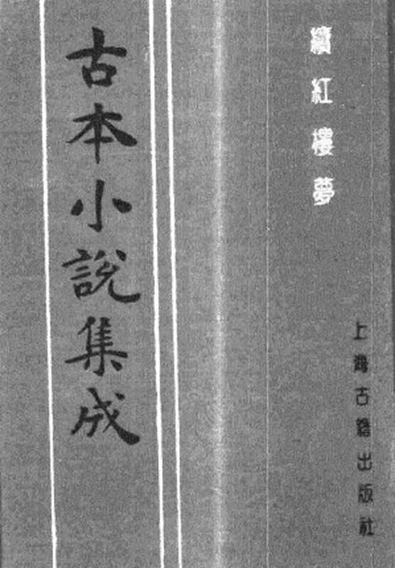 古本小说集成 2074 [清]秦子忱撰-续红楼梦（抱甕轩刊）（中）（上海古籍出版社1994）（[清]秦子忱撰）（2017）