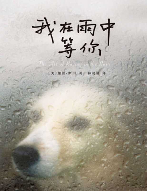 我在雨中等你(加思•斯坦)(南海出版公司 2019)