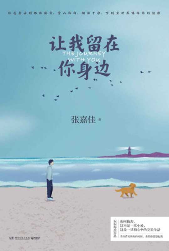 让我留在你身边(张嘉佳)(湖南文艺出版社 2020)