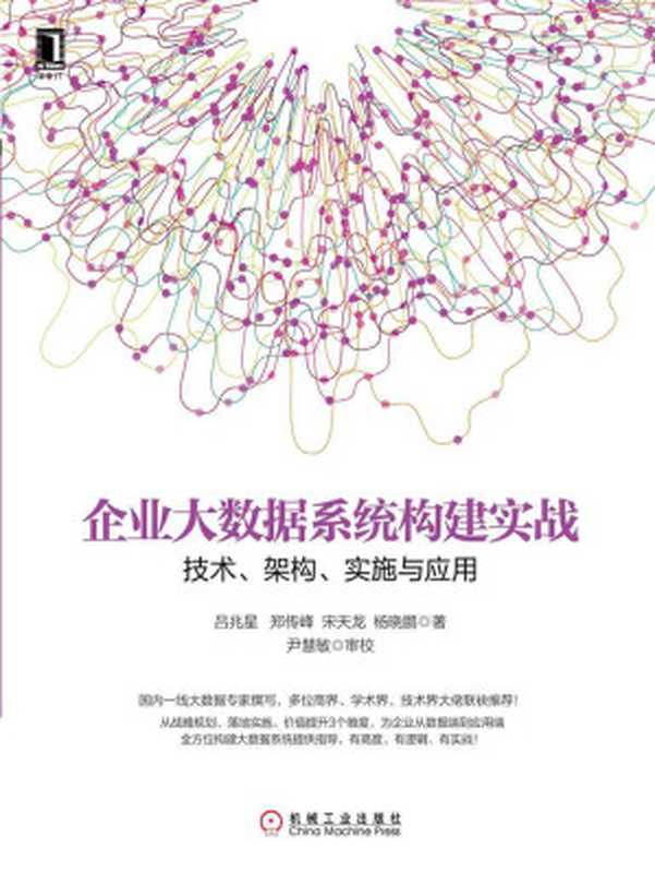 企业大数据系统构建实战:技术、架构、实施与应用 (大数据技术丛书)(吕兆星)(机械工业出版社 2017)