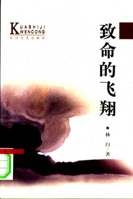 致命的飞翔(林白)(长江文艺出版社 2001)
