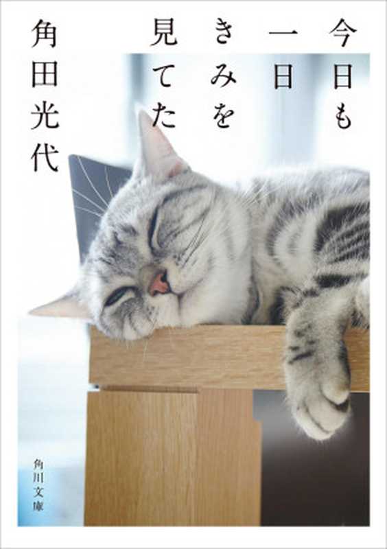今日も一日きみを見てた (角川文庫)(角田 光代)(KADOKAWA 角川書店 2017)