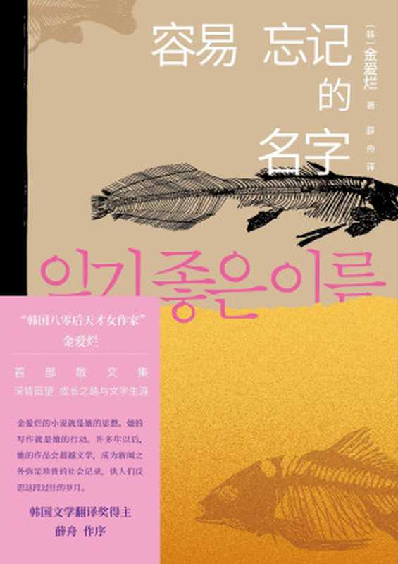 容易忘记的名字(金爱烂作品集)(金爱烂)(人民文学出版社 2022)