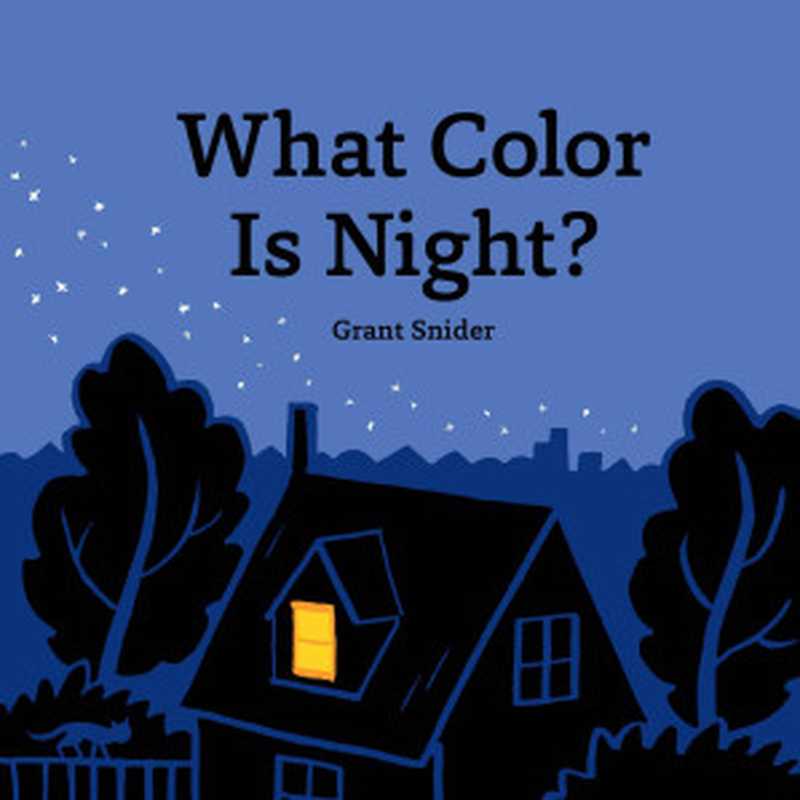 What Color Is Night (Grant Snider)(Chronicle Books 2019)