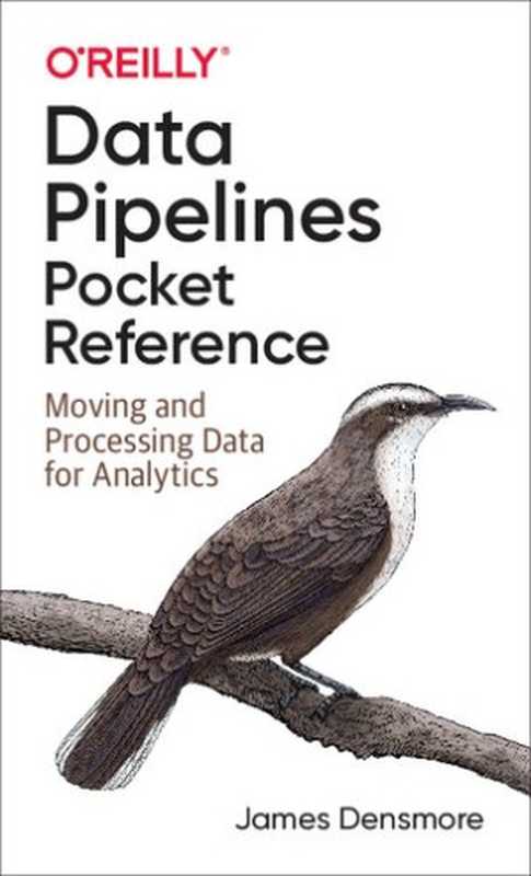 Data Pipelines Pocket Reference: Moving and Processing Data for Analytics(James Densmore)(O
