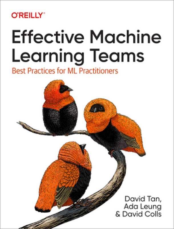 Effective Machine Learning Teams(David Tan, Ada Leung, David Colls)(O