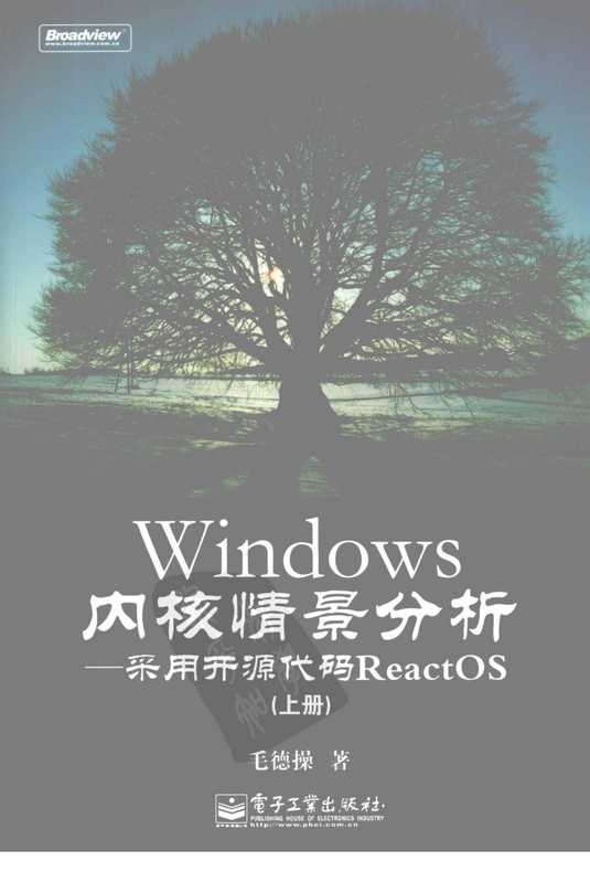 Windows内核情景分析_上.pdf（Windows内核情景分析_上.pdf）