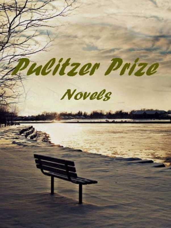 Pulitzer Prize Novels（Ernest Poole， Booth Tarkington， Edith Wharton， Willa Cather）（Amazon 2013）