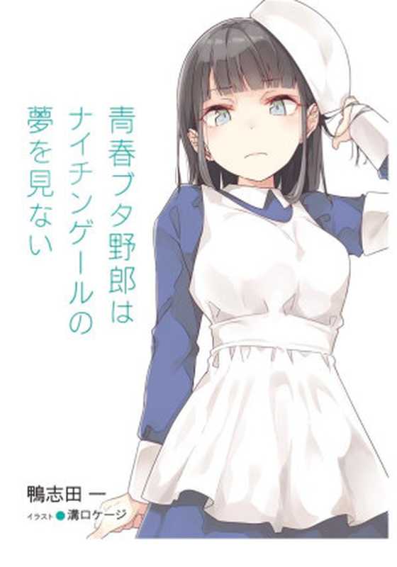 青春野狼不做初恋少女的梦-第十一卷 青春野狼不做南丁格尔的梦-迷糊轻小说（Ebook）（迷糊轻小说(www.yidm.com) 2020）