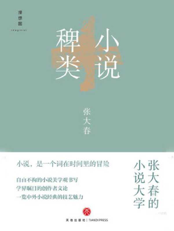 小说稗类（全新装帧修订版，畅销十五年，入围首届“华语图书传媒大奖”）（张大春 [张大春]）（天地出版社 2019）