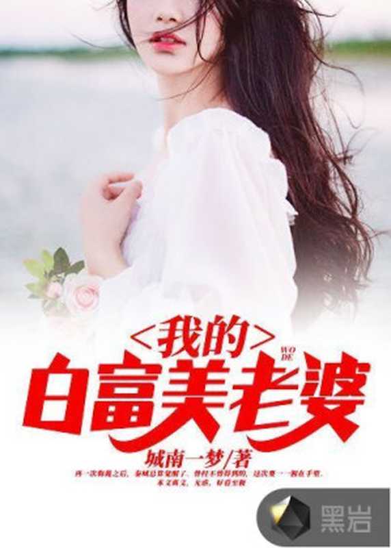 我的白富美老婆(Unknown)