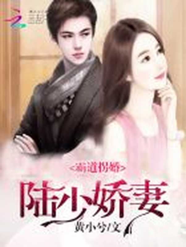 霸道拐婚:陆少娇妻(Unknown)