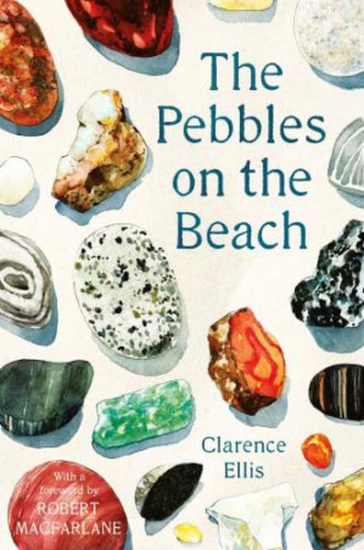 The Pebbles on the Beach(Clarence Ellis)(Faber & Faber 2018)
