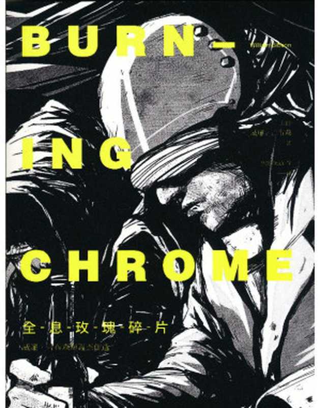 全息玫瑰碎片（[加] 威廉·吉布森 [[加] 威廉·吉布森]）（新星出版社 2014）