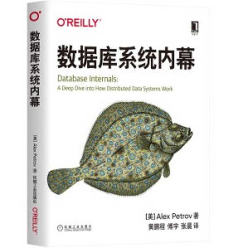 数据库系统内幕（美] 亚历克斯·彼得罗夫（Alex Petrov）翻译：黄鹏程   傅宇   张晨）（2020）