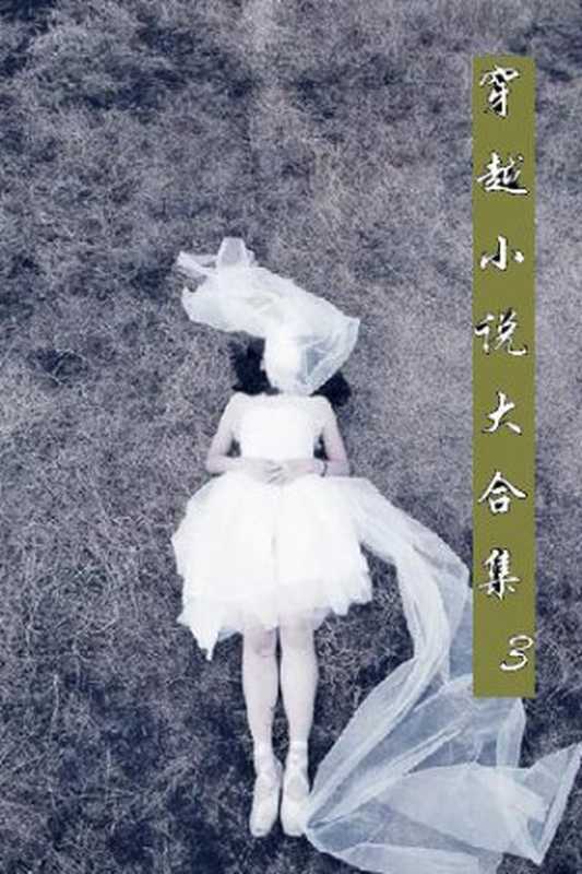 穿越小说合集3（龙庭江雪 等 [等， 龙庭江雪]）（calibre 2010）