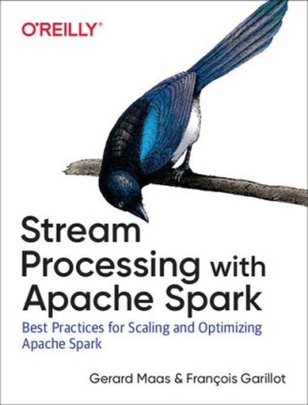 Stream Processing with Apache Spark: Mastering Structured Streaming and Spark Streaming(Gerard Maas, Francois Garillot)(O