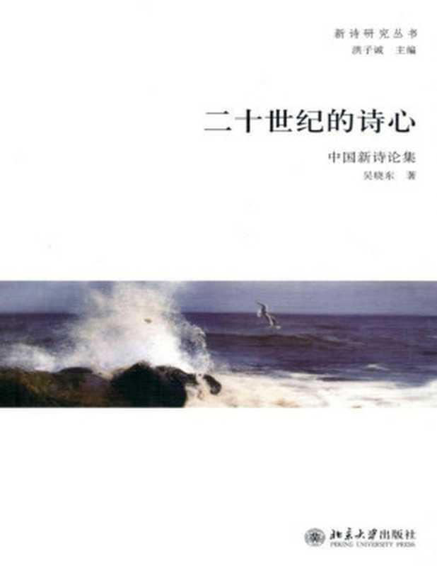 二十世纪的诗心:中国新诗论集 (新诗研究丛书)(吴晓东)(北京大学出版社 2010)