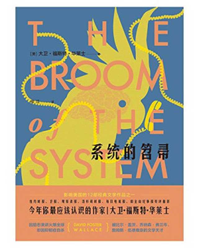 系统的笤帚(大卫•福斯特•华莱士)(北京时代华文书局 2018)
