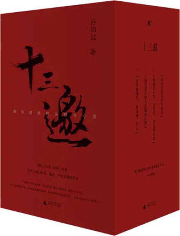 十三邀：我们时代的头脑与心灵（全四辑）（许知远 [许知远]）