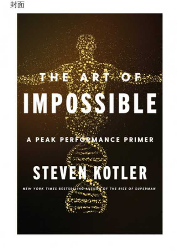 不可能的技艺 巅峰表现的入门指南(Steven Kotler)