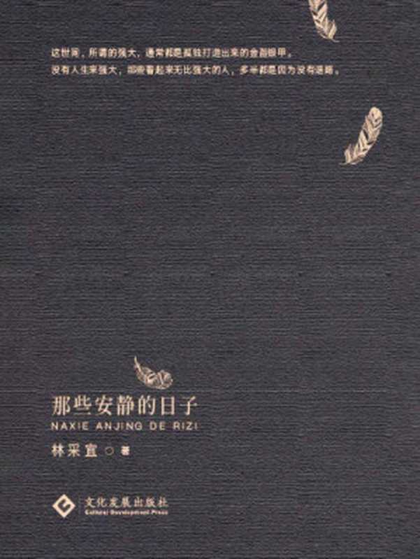 那些安静的日子 (林采宜 )(文化发展出版社 2021)