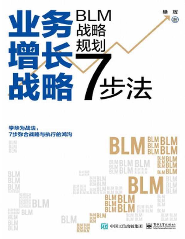 业务增长战略 BLM战略规划7步法(樊辉)(电子工业出版社 2022)