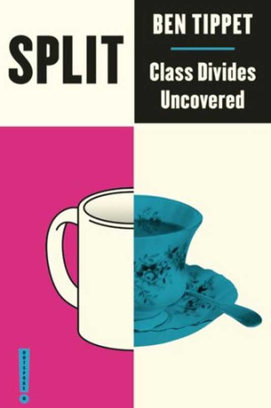 Split: Class Divides Uncovered(Ben Tippet, Neda Tehrani)(Pluto Press 2020)