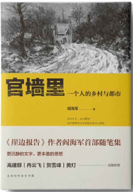 官墙里:一个人的乡村与都市(阎海军)(北京时代华文书局 2017)