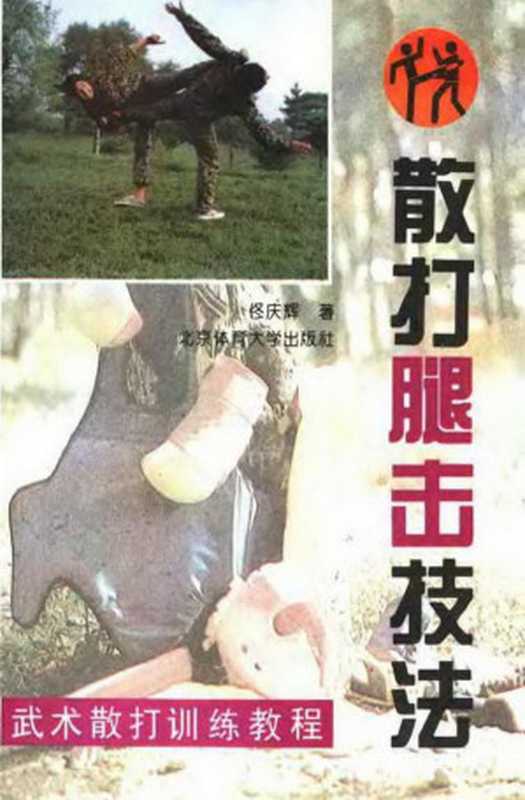 散打腿击技法(佟庆辉著)(2009)