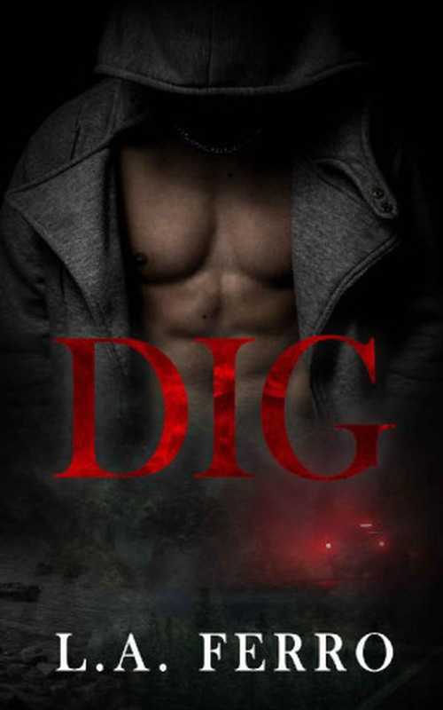 DIG： A Second Chance Romance（L.A. Ferro）（anonymous 2022）