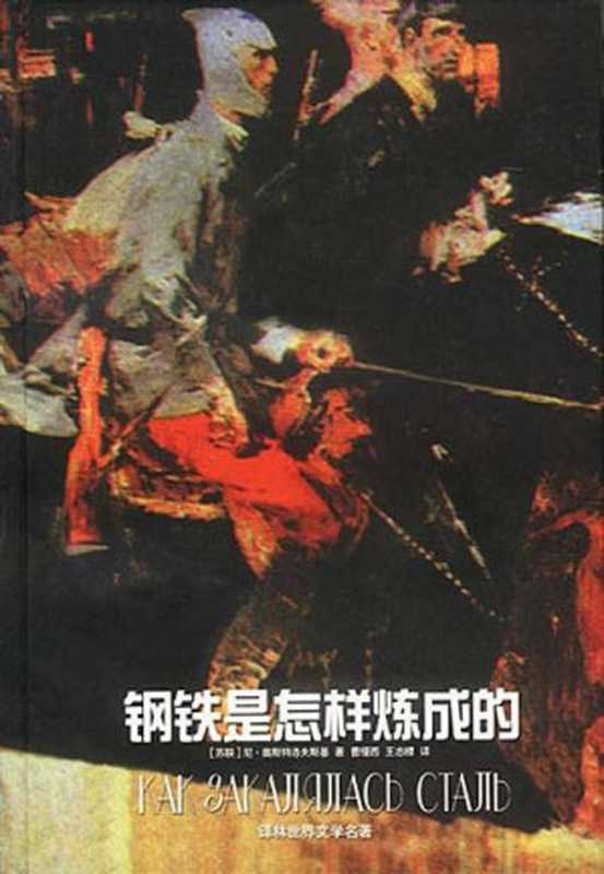 钢铁是怎样炼成的(〔苏联〕尼·奥斯特洛夫斯基著;曹缦西,王志棣译)(译林出版社 1996)