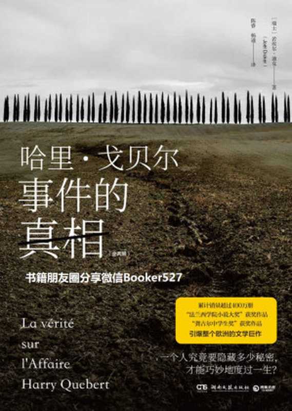 哈里·戈贝尔事件的真相：全两册（在欧洲将丹·布朗挤下畅销榜首的奇迹之书。一个人究竟要隐藏多少秘密，才能巧妙度过一生？一本书中书！ ）（若埃尔·迪克 [若埃尔·迪克]）（湖南文艺出版社 2019）