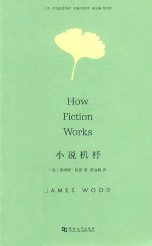 小说机杼(詹姆斯·伍德)(河南大学出版社 2015)