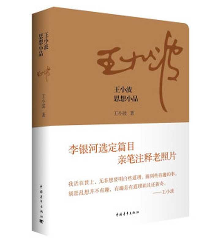 王小波思想小品(王小波)(中国青年出版社 2015)