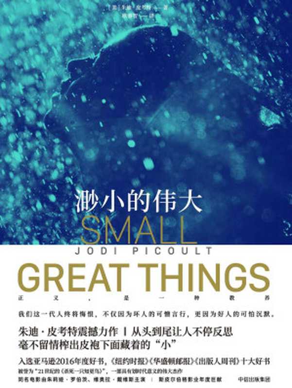 渺小的伟大(直击人心,拷问灵魂,被誉为21世纪的《杀死一只知更鸟》,一部具有划时代意义的伟大杰作。)(朱迪·皮考特)(中信出版集团 2018)