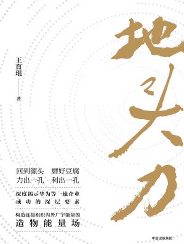 地头力(王育琨)(中信出版社 2017)